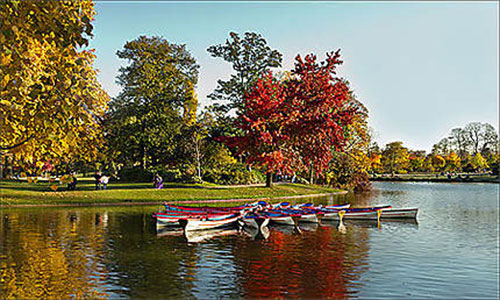 Bois de vincennes